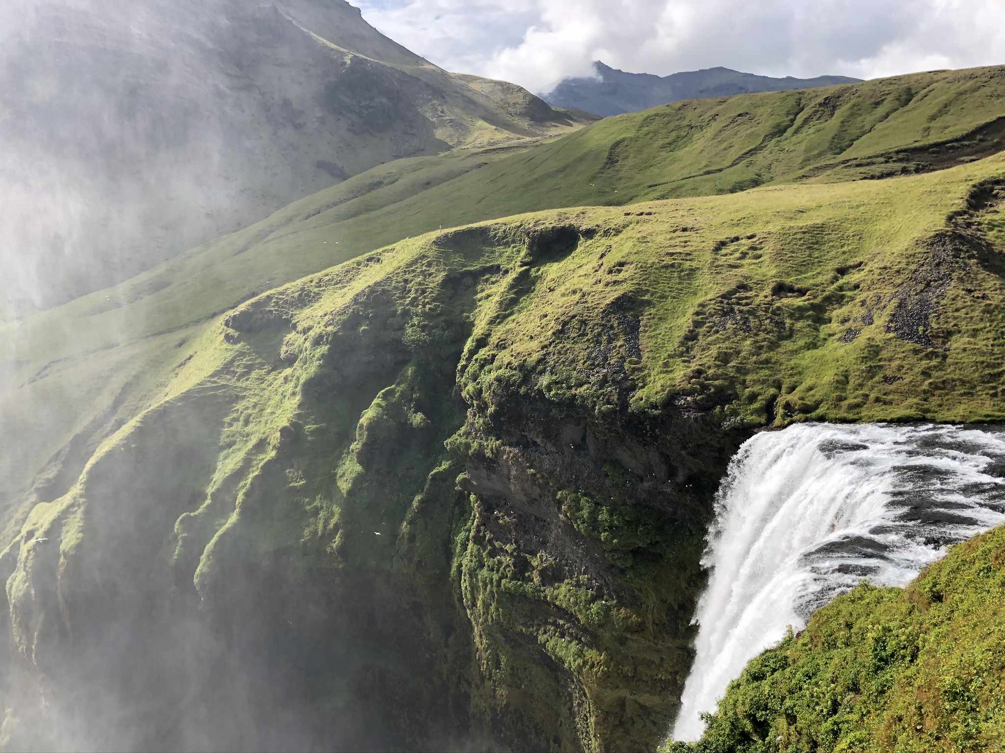 Header Image